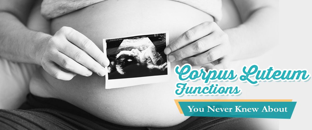 Corpus Luteum Functions You Never Knew About