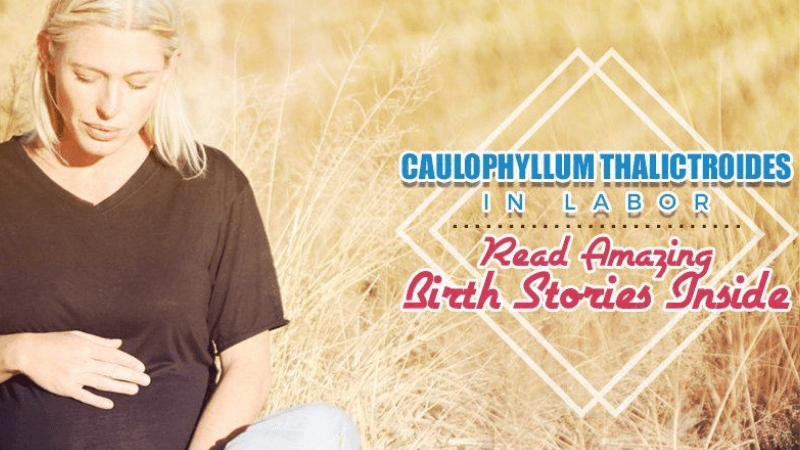 Caulophyllum Thalictroides in Labor: Read Amazing Birth Stories Inside