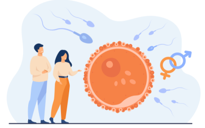 What You Should Know About Ovulation, Tools to Track It and When Does It Occur?