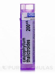 Caulophyllum Thalictroides