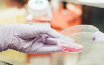 Frozen Embryo Replacement