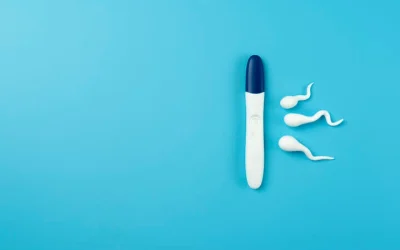 All About Ovulation Predictor Kits