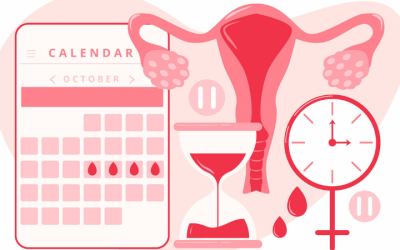 Amenorrhea Signs and Symptoms – What to Watch For and What To Do