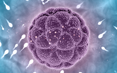 How to Increase Sperm Count Naturally? Learn the 8 Proven Ways and Remedies that Really Work